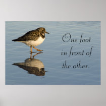 Sandpiper bird motivational Poster