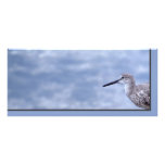 Sandpiper rack cards