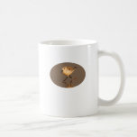 Sandpiper Mugs