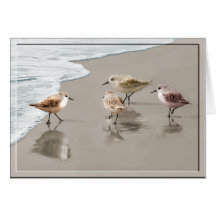 Sandpipers at the Shoreline Card