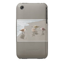 Sandpipers at the Shoreline iPhone 3 Covers
