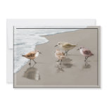 Sandpipers at the Shoreline invitations