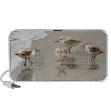 Sandpipers at the Shoreline iPod Speakers