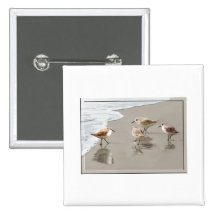Sandpipers at the Shoreline Pinback Button
