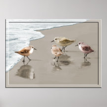 Sandpipers at the Shoreline Print