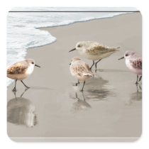 Sandpipers at the Shoreline