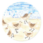 Sandpipers on Old Orchard Beach, Maine Round Sticker