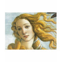 Sandro Botticelli - Venus (Detail) t-shirts