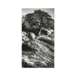 Sands of Time Canvas Prints