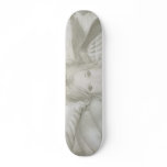 Sands of Time skateboards