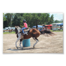 Sandspur Game Show - September 8th, 2012 #15 Photo Print