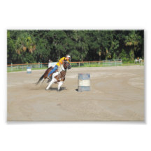 Sandspur Riding Club Benefit - July 7th, 2012 #10 Art Photo