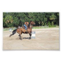 Sandspur Riding Club Benefit - July 7th, 2012 #11 Photo Print