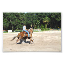 Sandspur Riding Club Benefit - July 7th, 2012 #29 Photo Art