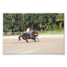 Sandspur Riding Club Benefit - July 7th, 2012 #33 Photo Art