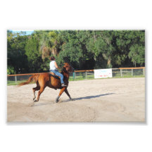 Sandspur Riding Club Benefit - July 7th, 2012 #41 Photograph