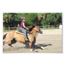 Sandspur Riding Club Benefit - July 7th, 2012 #4 Photo Art