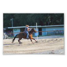 Sandspur Riding Club Benefit - July 7th, 2012 #52 Photo