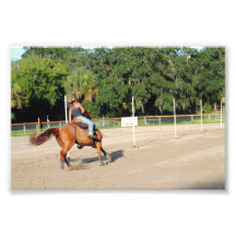Sandspur Riding Club Benefit - July 7th, 2012 #57 Art Photo