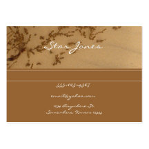 Sandy  Beach business card