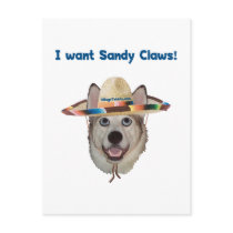 Sandy Claws Beach Dog