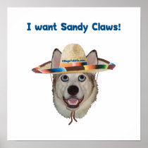Sandy Claws Beach Dog
