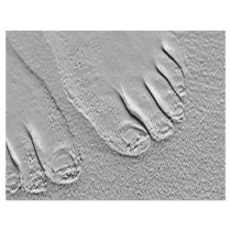 sandy feet full color flyer