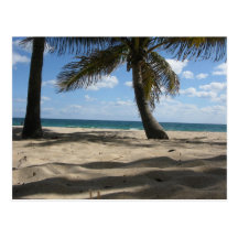 Sandy Palms Postcards