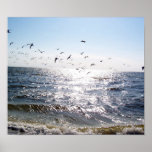 Sanibel Sunrise Print