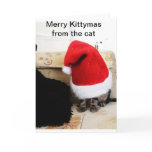 Santa 4 Paws Cards