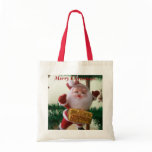 Santa Bag