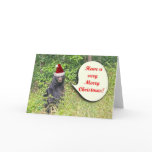 Santa Bear Wishing You a Merry Christmas Cards