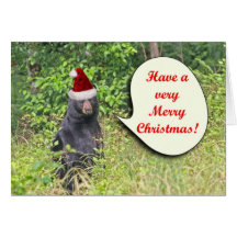 Santa Bear Wishing You a Merry Christmas Cards