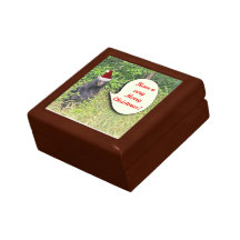 Santa Bear Wishing You a Merry Christmas Keepsake Box