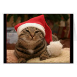 Santa Cat Greeting Card