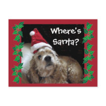 Santa Chance Dog Postcards