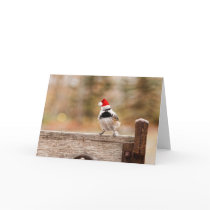 Santa Chickadee Greeting Cards