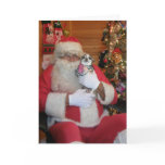 Santa & Chihuahua cards