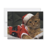 Santa Claws invitations