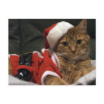 Santa Claws postcards