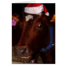 Santa Cow Cards