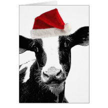 Santa Cow - Dairy Cow wearing Santa Hat Cards