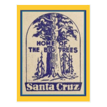 Santa Cruz California - Home of the Big Trees Post Cards