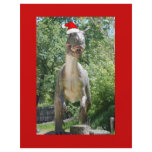 Santa Dinosaur flyers