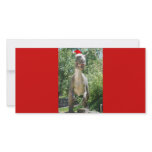 Santa Dinosaur photo cards