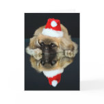 Santa Dog Christmas Card