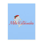 Santa dolphin Hawaiian Christmas Postcard