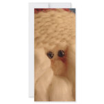 santa face rack cards
