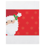 Santa Frame flyers
