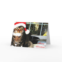 Santa hat cat II Greeting Card